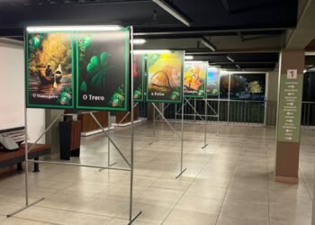 Exposição ‘Baralho Cigano Amazônia’ celebra a força simbólica da floresta em uma viagem pelos arquétipos amazônidas