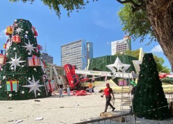 Guindaste desaba durante montagem da Árvore de Natal no Largo de São Sebastião; veja vídeo