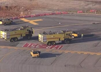 cachorro-aeroporto-congonhas