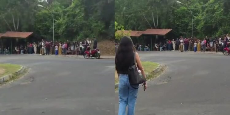 parada de ônibus - ufam