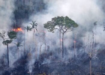 Estudo aponta que queimadas ameaçam a saúde na Amazônia