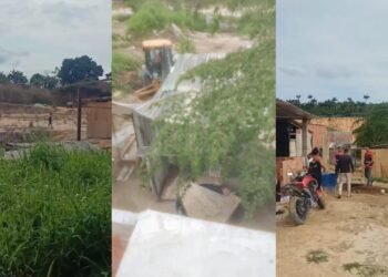 reintegração - santa etelvina