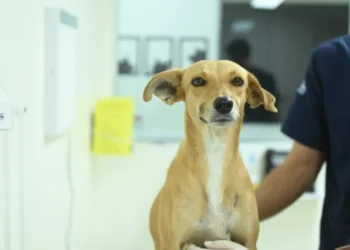 Atendimento na Casa Fametro