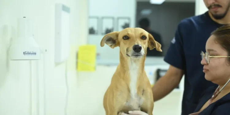 Atendimento na Casa Fametro