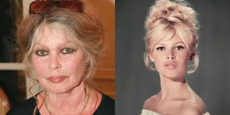 Morre a atriz Brigitte Bardot, musa do cinema francês
