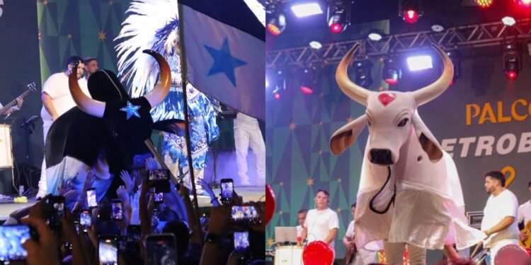 Bois Caprichoso e Garantido (Fotos: Henrique Façanha e Sérgio Cole)