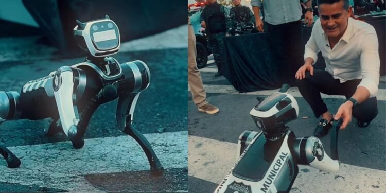 Sem apresentar provas, prefeito diz que cão-robô da guarda municipal foi doado por servidor