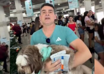 David Ração do Meu pet (1)