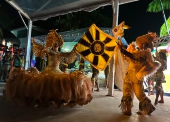 Festival do Peixe Ornamental de Barcelos é lançado oficialmente em Manaus