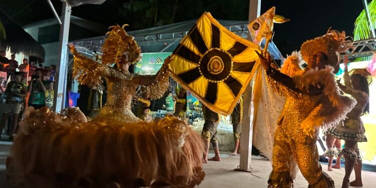 Festival do Peixe Ornamental de Barcelos é lançado oficialmente em Manaus