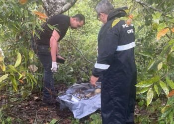 Ossada humana é encontrada em área de mata