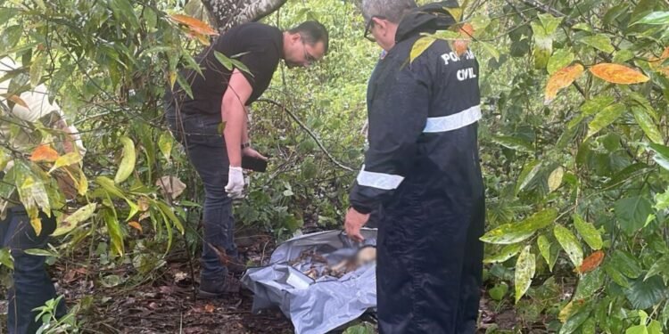 Ossada humana é encontrada em área de mata