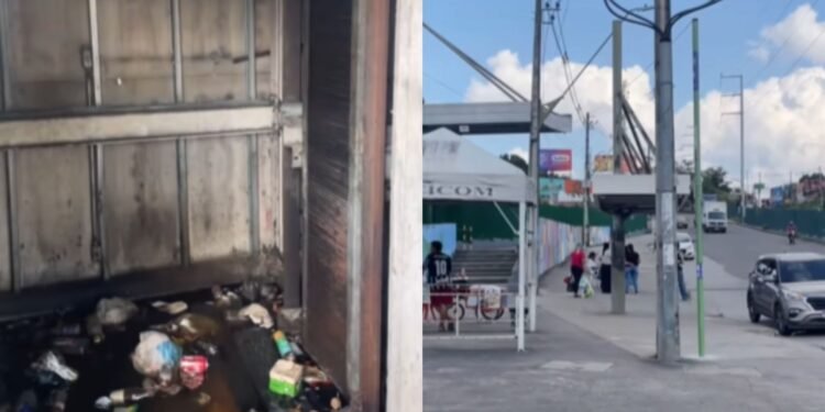 Imagens registradas na região (Fotos: Reprodução/Intasgram - @amaralcomedia)