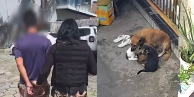Homem é preso por maus-tratos após agredir cães e causar a morte de um deles em Manaus