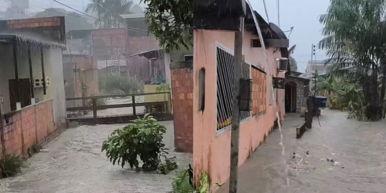 ‘Um rip-rap já resolveria nosso problema’, dizem moradores que ficam ilhados quando chove na zona Norte de Manaus