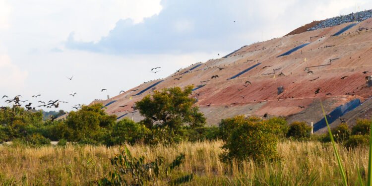 aterro sanitário manaus