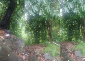 barranco jorge teixeira