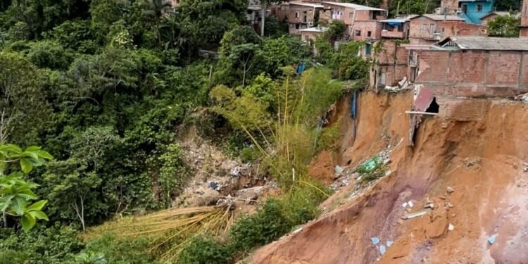 barranco-manaus