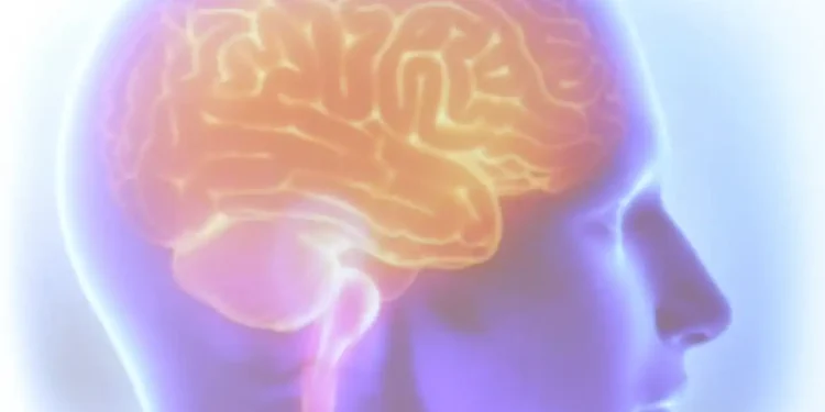 Projeto Ártemis avalia genética de pacientes que sofreram AVC