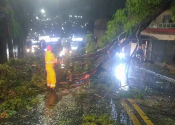 Ciclone deixa 2 milhões de clientes sem energia em São Paulo