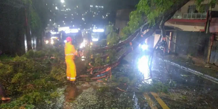 Ciclone deixa 2 milhões de clientes sem energia em São Paulo