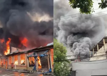 Incêndio atinge loja de flores artificiais e mobiliza 24 viaturas do Corpo de Bombeiros