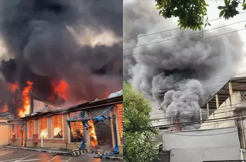 Incêndio atinge loja de flores artificiais e mobiliza 24 viaturas do Corpo de Bombeiros