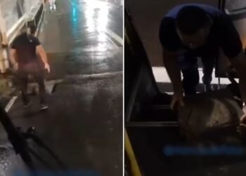 Imagens foram registradas durante a noite (Fotos: Reprodução/Redes Sociais)