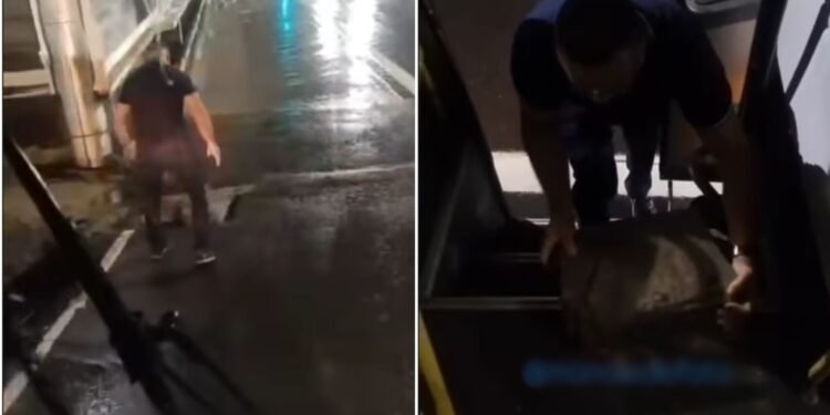 Imagens foram registradas durante a noite (Fotos: Reprodução/Redes Sociais)