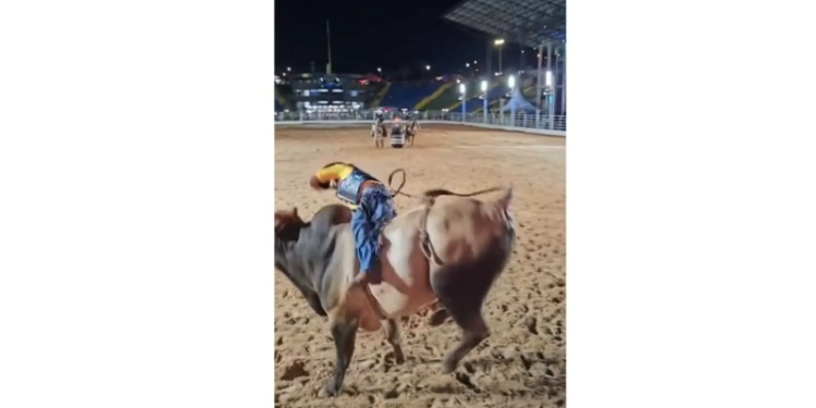 Montaria termina em acidente grave e peão fratura costela