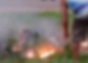 Tempestade derruba árvore, rompe fiação e mulher morre eletrocutada na AM-070