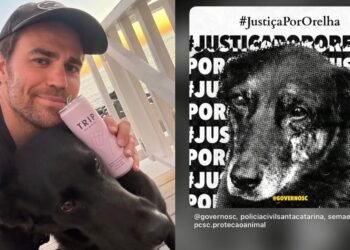 Ator de The Vampire Diaries apoia campanha por justiça no caso do cachorro Orelha