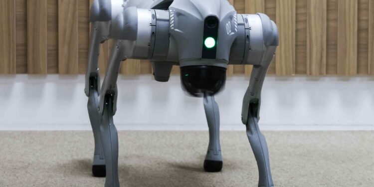 Cão Robô visitou a Rede Rios de Comunicação (Foto: Tunico Santos/Rios de Notícias)