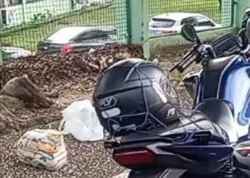 Mulher fica ferida após acidente de motocicleta na avenida Darcy Vargas, em Manaus