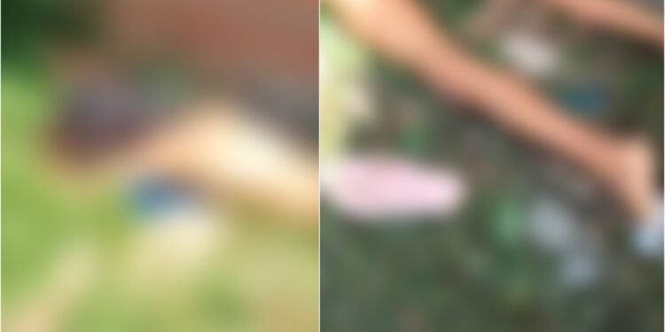 Corpo de mulher é encontrado nu em terreno baldio na Cidade Nova