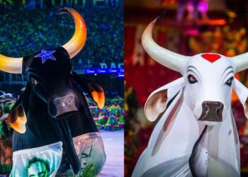 Caprichoso e Garantido