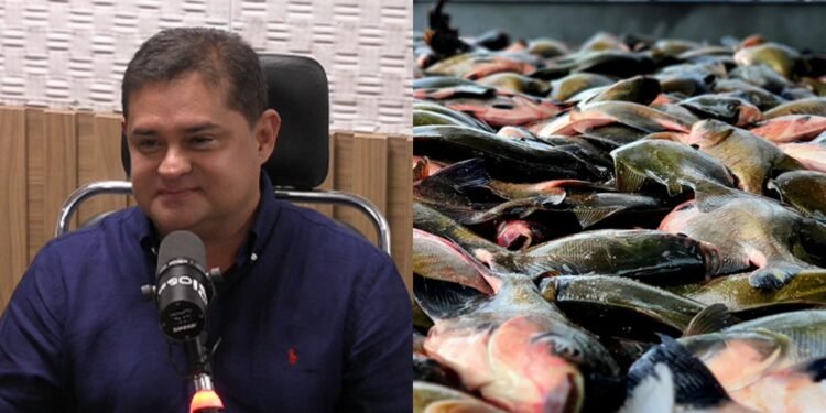 Glenio Seixas defende investimentos na piscicultura para Amazonas virar referência mundial na produção de tambaqui