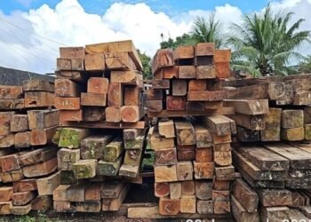 Ipaam abre cadastro para doação de bens apreendidos em fiscalizações ambientais