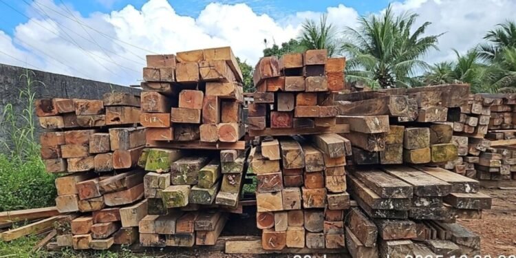 Ipaam abre cadastro para doação de bens apreendidos em fiscalizações ambientais