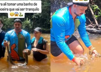 Sucuri-verde é flagrada na Cachoeira da Neblina