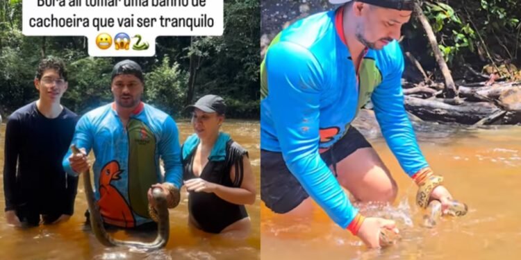 Sucuri-verde é flagrada na Cachoeira da Neblina