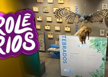 Rolê Rios: Férias no Bosque oferece lazer e aprendizado para crianças em Manaus