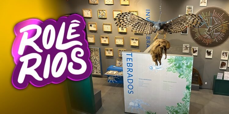 Rolê Rios: Férias no Bosque oferece lazer e aprendizado para crianças em Manaus