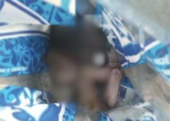 Corpo de bebê é encontrado em lixão em Maués; caso semelhante ocorreu em Manaus