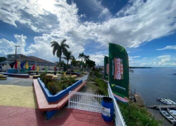 Rede Rios de Comunicação desembarca em Barcelos para cobertura multiplataforma do Festival do Peixe Ornamental