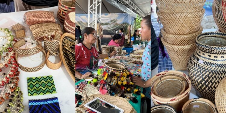 Artesanato plural do Alto Rio Negro ganha destaque no Festival do Peixe Ornamental, em Barcelos