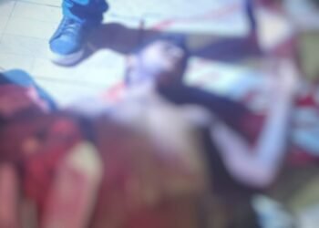 executadomontedasoliveiras