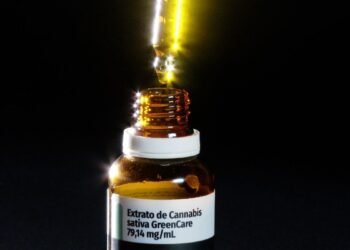 Anvisa amplia o uso da cannabis medicinal no Brasil