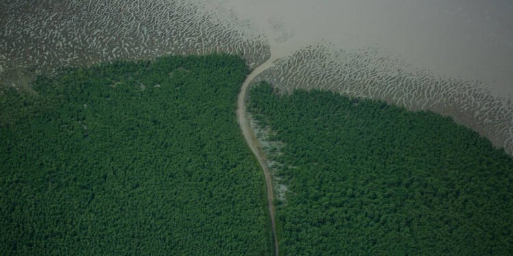foz-amazonas (2)