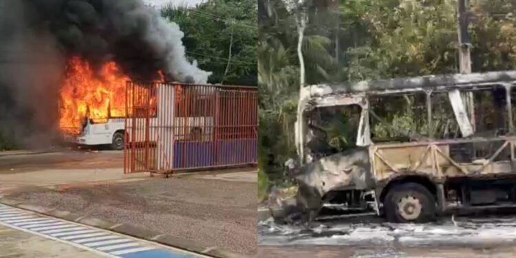 incêndiovegatransporte